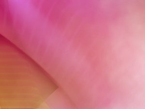 裂变传播