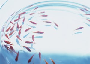 财务指标使用技巧：用少数股东权益看公司结构